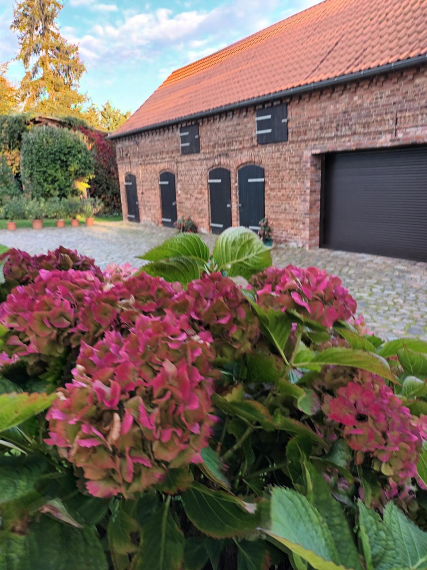 Ferienwohnung Perlitz Petersdorf  Buitenkant foto