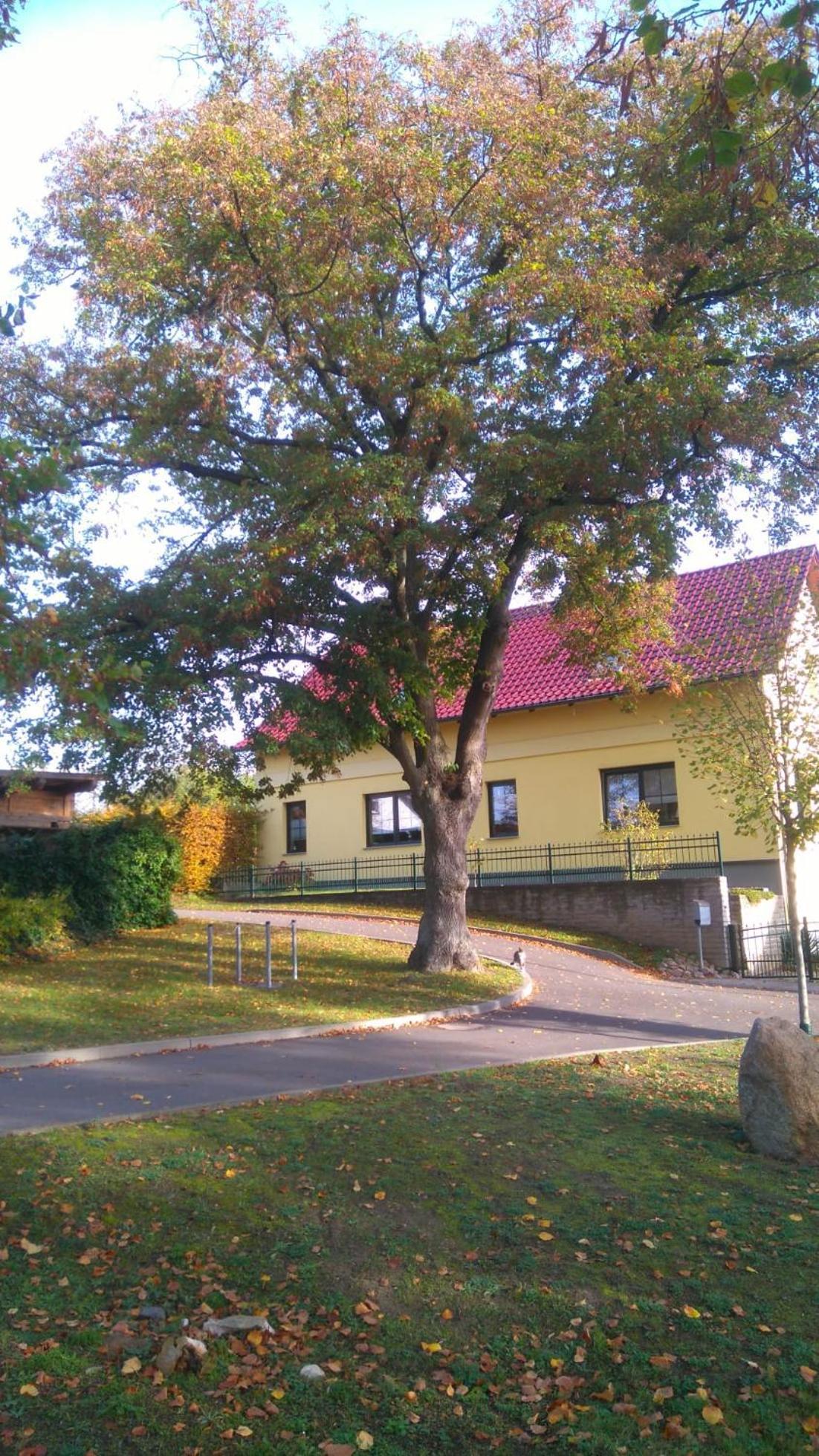 Ferienwohnung Perlitz Petersdorf  Buitenkant foto